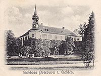 Przeworno - Zamek w Przewornie na zdjciu z lat 1903-05